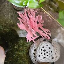 Nhà trú ẩn 3D cho cá và tôm nhỏ, trang trí bể cá, cảnh quan bể cá, vật trang trí dưới nước - A - Xem 9