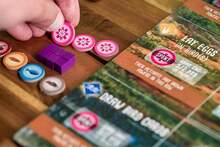 : Wingspan Oceania Expansion | Add To Wingspan (Base Game) | Includes New Player Mats, Food, And Egg Color | 95 Unique New Birds | Cooperative Mode | -5 Players, 70 Mins, Ages 4+,29271171 - 橘色 - 查看 5