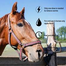 4 Packaging  - Apple Flavor 1.87%, 6.08 Grams Dosage - For Large Horses And Equ Care - 4 Packs - View 4