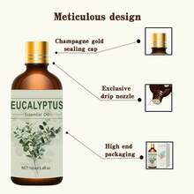 100ml/30ml/10ml Eucalyptus Essential Oil, Moisturizing Eucalyptus Facial Oil, Smooth Skin Fragrance Skin Care Oil, Pure Plant Extract Essential Oil - Eucalyptus - View 6