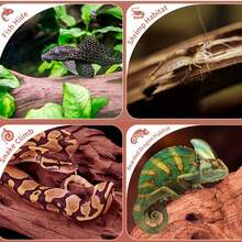 Driftwood, Branches, And Superfluous Wood Are Modern Reptile Hiding And Climbing Materials, Suitable For Bearded Dragons, Basking Platforms, And Geckos, And Can Be Used For Aquascaping And Decoration In Aquariums.