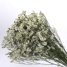 60克红色保鲜勿忘我干花，水晶花，适用于插花、婚礼、DIY插花和家居装饰 - 彩色 - 查看 7