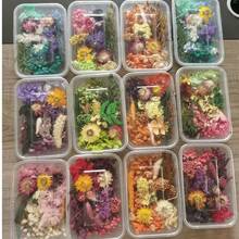Mezcla de flores secas de alta calidad para arte de resina y elaboración de velas - Florales perennes y flotantes a base de plantas, 20-30 g en caja