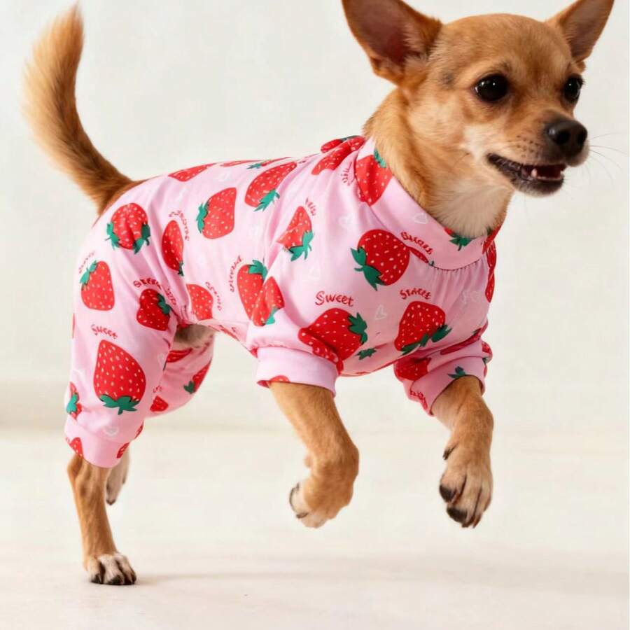 Ropa nueva para mascotas, pijamas para gatos y perros, adecuados para perros medianos y pequeños como Teddy, Pomerania, Chihuahua, con estampado de abeja y fresa - Rosa Pálido - Ver 1