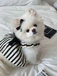 1 Stück gestreiftes Sommerkleid für kleine Hunde, Prinzessinnenkleid für Pudel, Teddy, kleine Haustierrassen - Schwarz - Übersicht 8