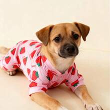 Ropa nueva para mascotas, pijamas para gatos y perros, adecuados para perros medianos y pequeños como Teddy, Pomerania, Chihuahua, con estampado de abeja y fresa - Rosa Pálido - Ver 8