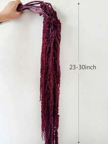 1/2/3/4/5pcs Hanging Amaranth Flowers, Preserved Flower Bouquet, Dried Flower Art, Hanging Floral Art, Wedding Arch Decor, Background Decor - White - View 6