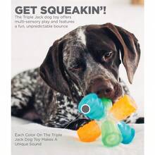 Outward Hound Puzzle Cube Interactive Squeaky Dog Toy - Ba Jack - Xem 6