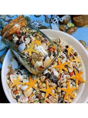 400pcs Natural Seashells & Conches, 6 Assorted Tiny Shells, Natural Specimen (Includes 1 Glass Jar)