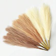 Beige & LightCurry & BrownCurry