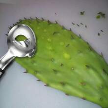 2-In-1 Cactus Peeler & Noodle Cutter | Professional Nopales Prickly Pear Paddle Despinar Tool & Fresh Homemade Pasta Maker | Kitchen Gadget For Easy Cactus Leaf Cleaning & Italian Pasta Crafting - Silver - View 7