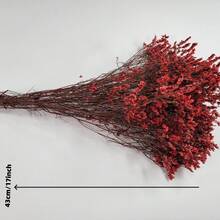 60克红色保鲜勿忘我干花，水晶花，适用于插花、婚礼、DIY插花和家居装饰 - 彩色 - 查看 5