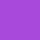 Dog Hide-n-slide (Purple)