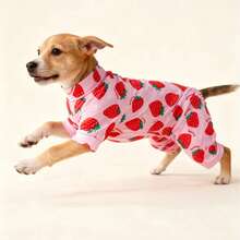 Ropa nueva para mascotas, pijamas para gatos y perros, adecuados para perros medianos y pequeños como Teddy, Pomerania, Chihuahua, con estampado de abeja y fresa - Rosa Pálido - Ver 4