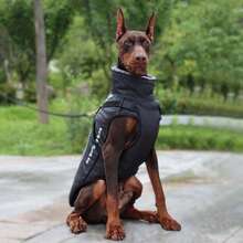 1pc Autumn And Winter Thickened Warm Waterproof Tractable Hardshell Jacket Warm Reflective Pet Chest Back Cotton-Padded Jacket, Large Dog Coat Autumn And Winter Pet Cotton-Padded Pet Clothes, Furry Warm Fur Collar, Suitable For Medium And Large Dogs (Gray, 2XL Size)