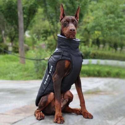 1pc Autumn And Winter Thickened Warm Waterproof Tractable Hardshell Jacket Warm Reflective Pet Chest Back Cotton-Padded Jacket, Large Dog Coat Autumn And Winter Pet Cotton-Padded Pet Clothes, Furry Warm Fur Collar, Suitable For Medium And Large Dogs (Gray, 2XL Size)