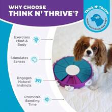 Outward Hound By Nina Ottosson Dog  Treat Puzzle Enrichment Toy, Level 3 Advanced, Purple - 狗狗扭扭樂(紫色,藍色) - 查看 6