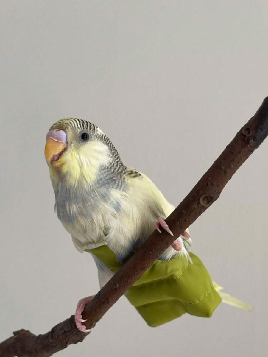 1pc Bird Diaper Warm Down Jacket, Winter Outdoor Bird Clothing