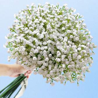 10pcs White Gypsophila Artificial Flowers, White Fake Flowers, Bulk Faux Gypsophila Bouquet, Suitable For Home Decor, Tabletop Decor, DIY Flower Arrangement, Wedding And Holiday Party Decoration, Home Outdoor Garden Decor, Wedding, Party, Room Decoration.