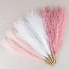 ABlush & Cream & Pink
