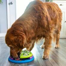 Outward Hound By Nina Ottosson Lickin' Layers 3-In-1 Interactive Dog Feeder Puzzle, Lick Mat & Slow Feeder Bowl – Mental Stimulation Toy For Medium & Large Dogs, Holds 2 Cups Of Wet Or Dry Food - 舔舐層(綠色,紫色,藍色) - 查看 7
