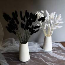 20/60/120/180/240pcs Boho Chic Multicolor Dried Bunny Tail Grass Bouquet For Home Decor Wedding Centerpieces Spring Ramadan Easter Mother's Day Valentine's Gifts - Multicolor - View 1