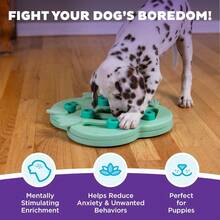 Outward Hound By Nina Ottosson Puppy Hide N' Slide Treat Puzzle Enrichment Dog Toy, Green - Puppy Hide-n-slide (Green) - View 2