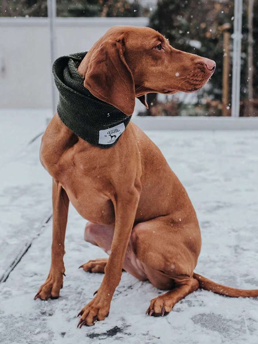 1pc Warm Knitted Pet Scarf Neck Warmer, Windproof For Cats And Dogs, Autumn/Winter - Multicolor - View 1