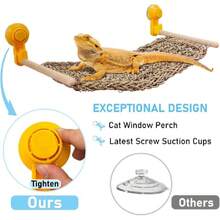 Bearded Dragon Window Perch Reptile Window Haock Natural Seagrass Lizard Lounger Bed With Powerful Suction Cups Climbing Toys Tank Accessories For Gecko Chameleon Basking (15.75 * 7.87),29570066 - 淡紫色 - 查看 5