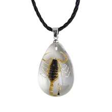 POYAMUSE Real Scorpion Pendant Necklace For Men And Women - Resin Bug Necklace, Scorpion Pendant Necklace - Amber Insect Necklace,Yellow - 黃色 - 查看 1