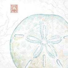 Cocktail Napkins Disposable 3-Ply Paper Party Napkin Pack, 5inch X 5inch, Delicate Sea FSandss Dollar, 20-Count,5inchx5inch,DelicateSeaFFSandssssDollar - 精緻海沙美元 - 查看 3