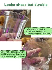 3.5/4/5/6.5-Inch Plant Nursery Pots With Humidity Domes Clear Seedling Pots With Lids, Small Seed Starters, Plastic Cups Planting Tools Set - Clear - View 2