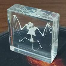 1pc Premium Crystal Bat Model, Giant Bat Teaching Specimen Bookend Novelty Gift Student Educational Tool Resin Craft, Transparent Natural Insect Spider Specimen, Rare Giant Insect Spider Bat From Primeval Forest, High-End Crystal Decor Ornament, Best Crystal Craft Gift For Meetings, Events, Parties - Multicolor - View 6