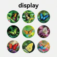 500 pièces/rouleau Autocollants motif papillon, Taille : 2,5 cm/1,0 pouce, Forme ronde, Cadeau idéal pour les enfants, Peut être utilisé pour la décoration de livres, les étiquettes d'emballage, la décoration de cadeaux et autres décorations de produits - Multicolore - Voir 3