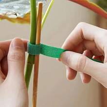 Self-Adhesive Plant Tying Tape - Stretchable Hook & Loop Garden Ties, Green Flexible Garden Supports, Plastic Tree Support Tape For Securing Plants, 393.7 Inch Length, Suitable For Vines, Stems And Cables, Multipurpose Hook & Loop Tape, Ensures Gardening Tasks, Flexible Design, Easy To Apply Tape - Mint Green - View 6