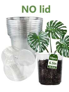 3.5/4/5/6.5-Inch Plant Nursery Pots With Humidity Domes Clear Seedling Pots With Lids, Small Seed Starters, Plastic Cups Planting Tools Set - Clear - View 13
