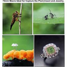 Lente macro de 75 mm para 16 15 14 13 Pro Moto  telfono Android, lente de cmara con clip, imgenes de primer plano - Grande - Ver 5