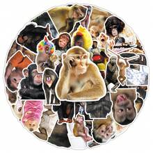 50pcs Crazy Monkey Cartoon Sticker Pack, Creative Decorative Stickers For Notebook, Milk Tea Cup