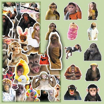 50pcs Funny Crazy Monkey Graffiti Cartoon Decorative Wall Stickers, Phone Case Stickers
