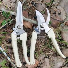 2Pcs Garden Scissors With Sharp White Steel Blades & Ergonomic Handles - Right-Handed Pruning Shears For Flowers, Shrubs, Roses, Fruits - Durable Metal Construction For Garden, Orchard, Flower Shop Use, Garden Pruning Shears, Orchard Maintenance, Classic Design, Rustresistant Material, Home Gardeners - 米色 - 查看 7