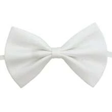 20色纯色宠物项圈，适合小型和中型犬猫，宠物美容配件，可调节宠物领结，20色混装纯色宠物项圈，适合小型和中型犬猫，宠物美容配件