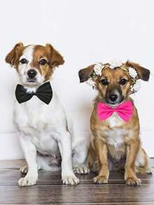 20色纯色宠物项圈，适合小型和中型犬猫，宠物美容配件，可调节宠物领结，20色混装纯色宠物项圈，适合小型和中型犬猫，宠物美容配件