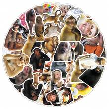 50pcs Crazy Monkey Cartoon Sticker Pack, Creative Decorative Stickers For Notebook, Milk Tea Cup