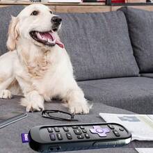 Silicone Protective Cover For Roku Voice Remote Pro 2nd Edition With Enhanced Grip And Scratch-Resistant Surface Perfect Fit For Hisense TV Remote Control And Compatible With  Smart TV Remote Black Color Design For Seamless Integration And Long-Lasting Durability In Home Entertainment Setup - 不發光黑色 - 查看 6
