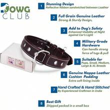 Pet Basic Dog Collars - Raven - View 3