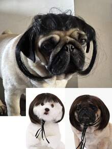 Cute Short Pet Wigs, Fun Pet Wig Accessories, Suitable For Cats And Dogs, Creative Pet Supplies, Summer Gifts, Cat Supplies, Pet Supplies, Dog Grooming Sets, Pet Supplies, Puppy Toys (Pet Appearances May Vary, DIY Skills Required).
