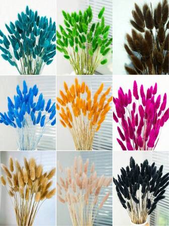 30/60/120/240件干花摆件，采用天然干兔尾芦苇草和蒲公英花制成，适合家居、婚礼、办公室和咖啡馆装饰；是情人节和母亲节的理想礼物。
