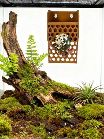 Hermit Crab Climbing Wall Foraging Basket | Hermit Crab Tank Enrichment Decor | Hermit Crab Habitat Decoration Accessories Supplies Toys Ornaments | Hermit Crab Tank Climbing Toys