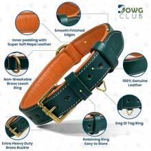 Pet Basic Dog Collars - Teal Green - View 3