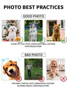 1pc Customized Pet Photo Blanket, Can Customize Pet Portrait And Name, Exclusive Gift For Cat Owners, 280GSM Super Soft Custom Heat-Pressed Blanket, Soft And Non-Shedding